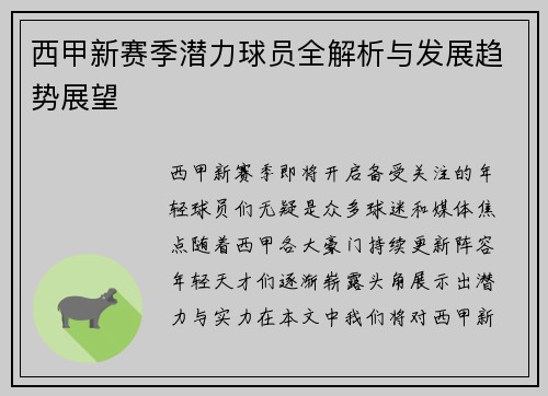 西甲新赛季潜力球员全解析与发展趋势展望